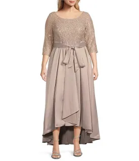 Plus Size Elegant Long Formal Dress by Alex Evenings